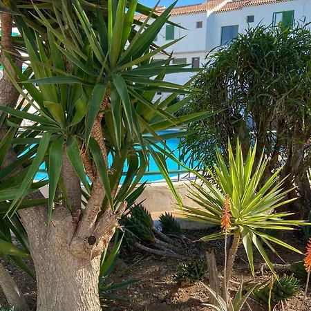Vacacional Paradise Apartment Arona (Tenerife)